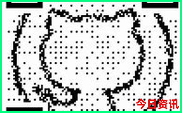 10天去哪里旅游最好